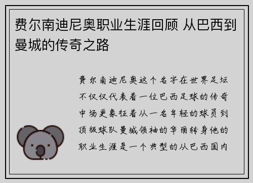费尔南迪尼奥职业生涯回顾 从巴西到曼城的传奇之路 费尔南迪尼奥职业生涯回顾 从巴西到曼城的传奇之路